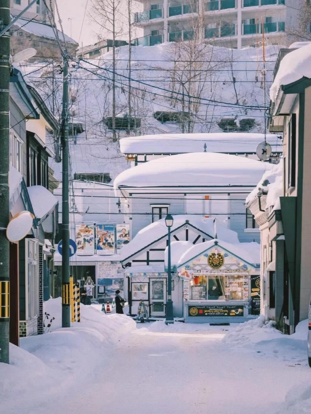 Hokkaido Sapporo Chartered Day Tour